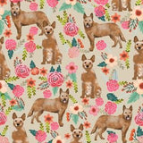 Red Heeler