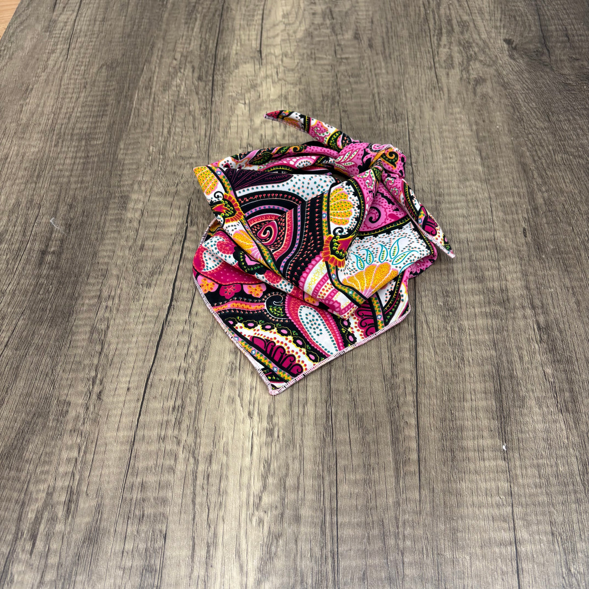 Emerald Lake Dog Rag – MT Wild Rags