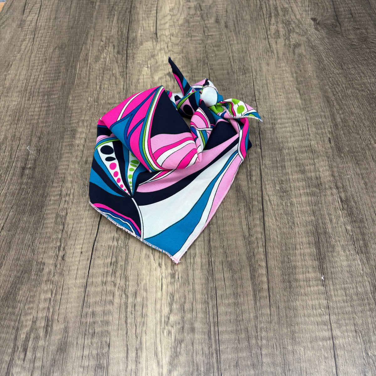 Sapphire Lake Dog Rag β MT Wild Rags