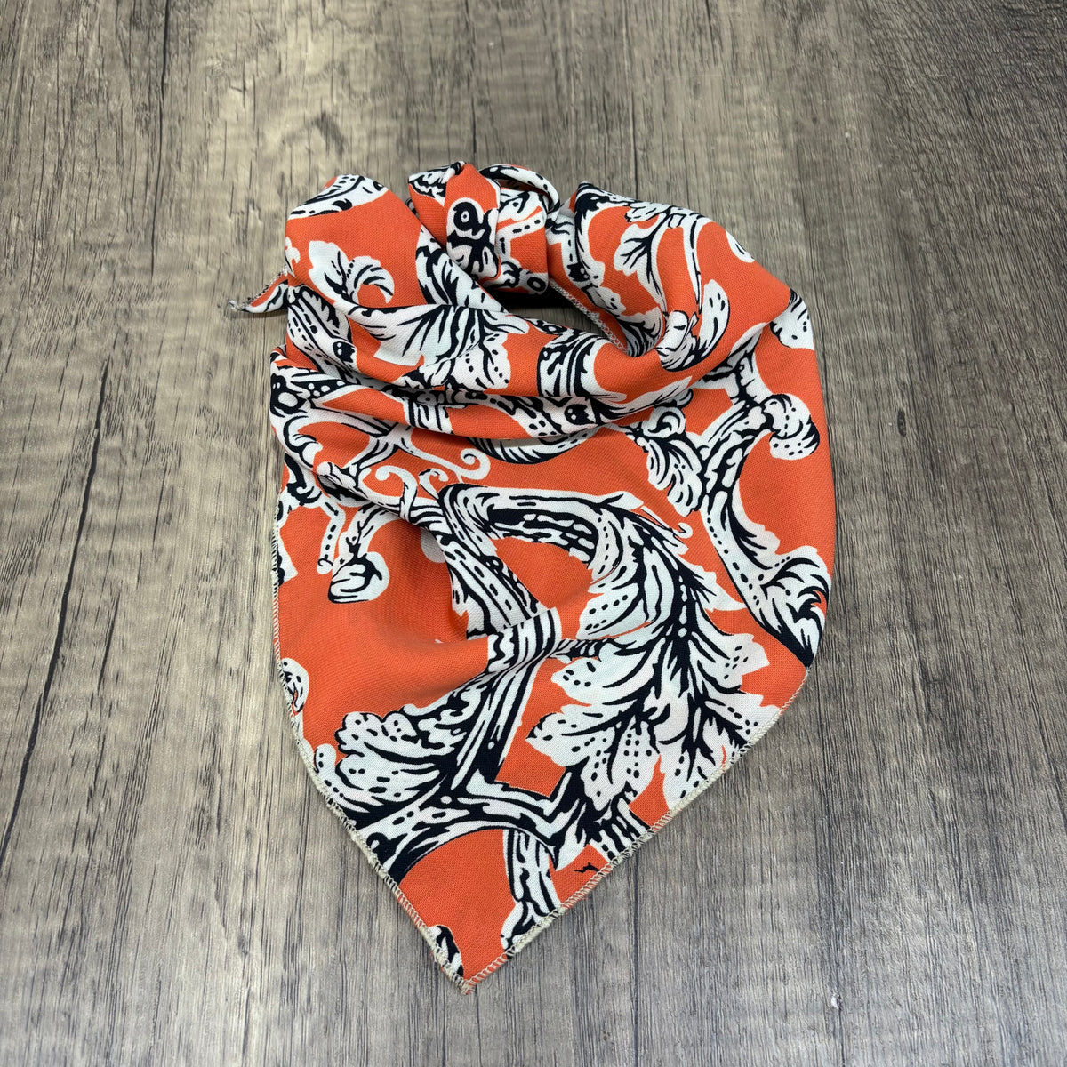 Lava Lake Dog Rag – MT Wild Rags