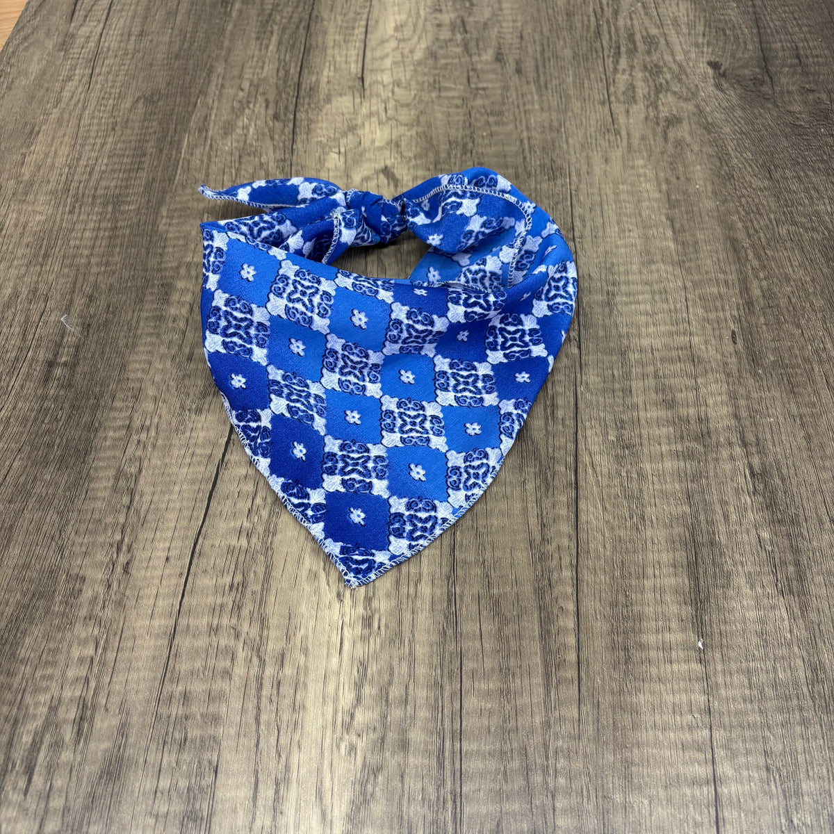 Spanish Creek Dog Rag – MT Wild Rags