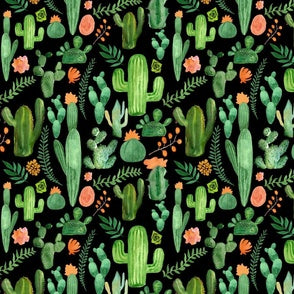 Cactus11