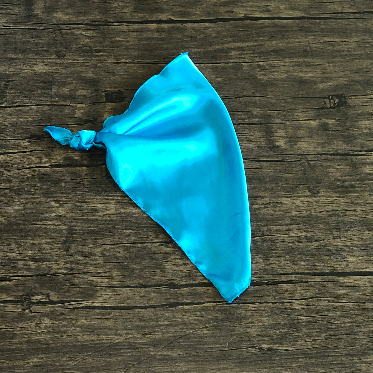 The Big Sky Dog Rag – MT Wild Rags