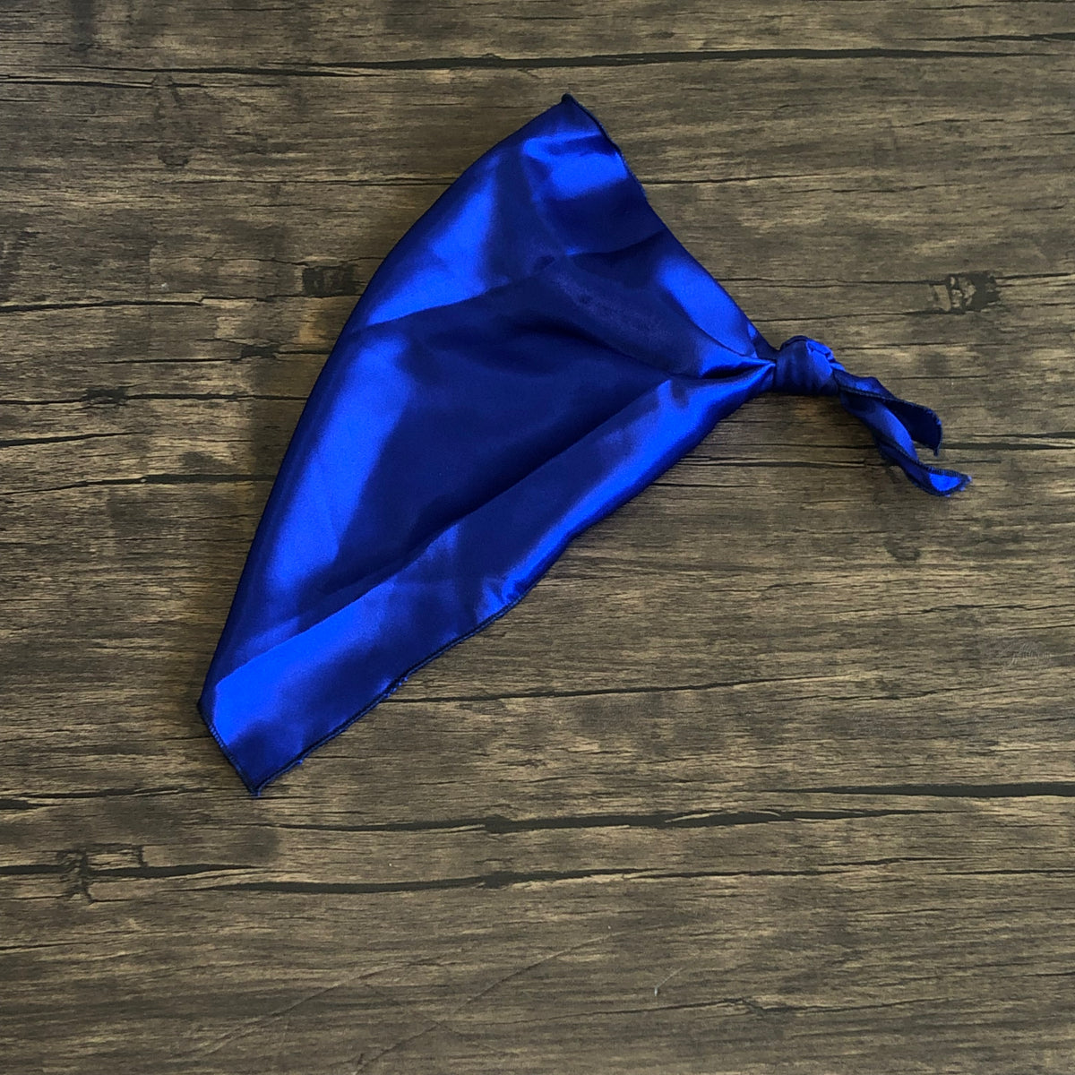 The Clinton “Royal” Dog Rag – MT Wild Rags