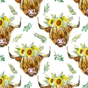 Sunflowers and Highland Cows