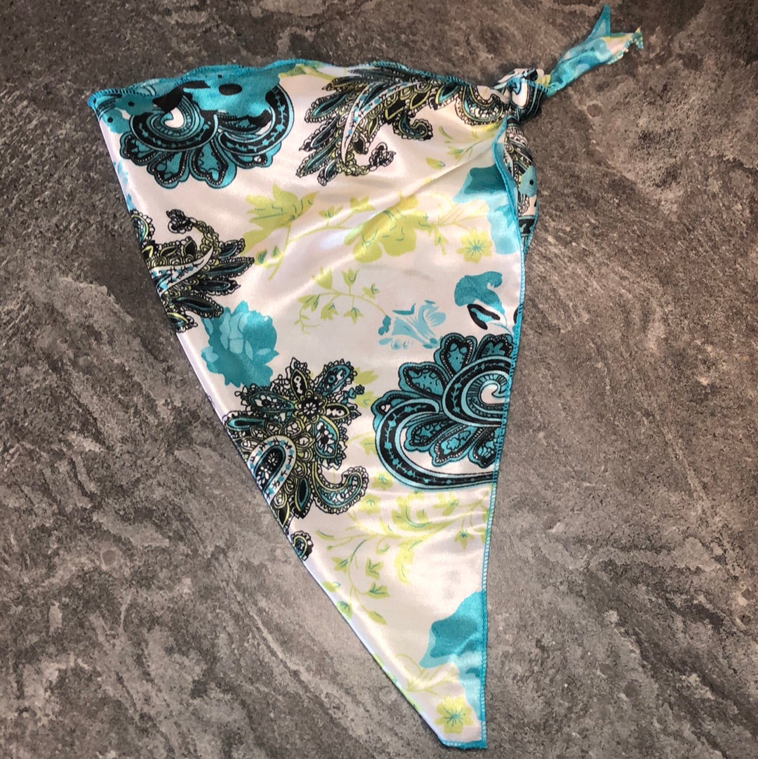 The Roy Dog Rag – MT Wild Rags